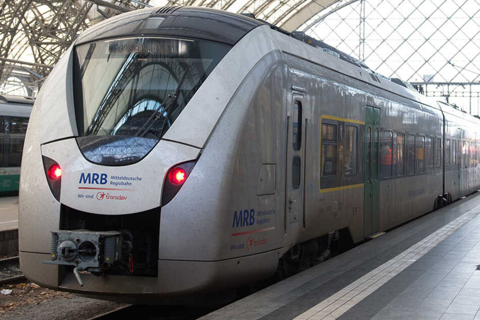 Die Tat passierte im Zug MRB 26930 von Dresden nach Hof. (Symbolbild)