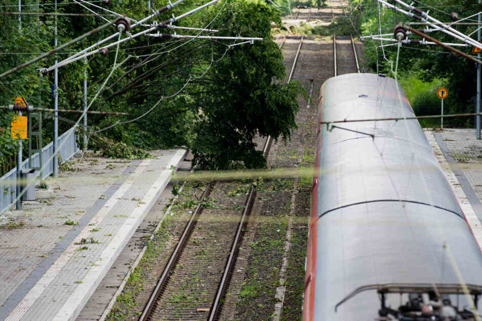 Auswirkungen auf den Berufsverkehr am Donnerstagmorgen gab es nach Bahnangaben nicht. (Symbolbild)