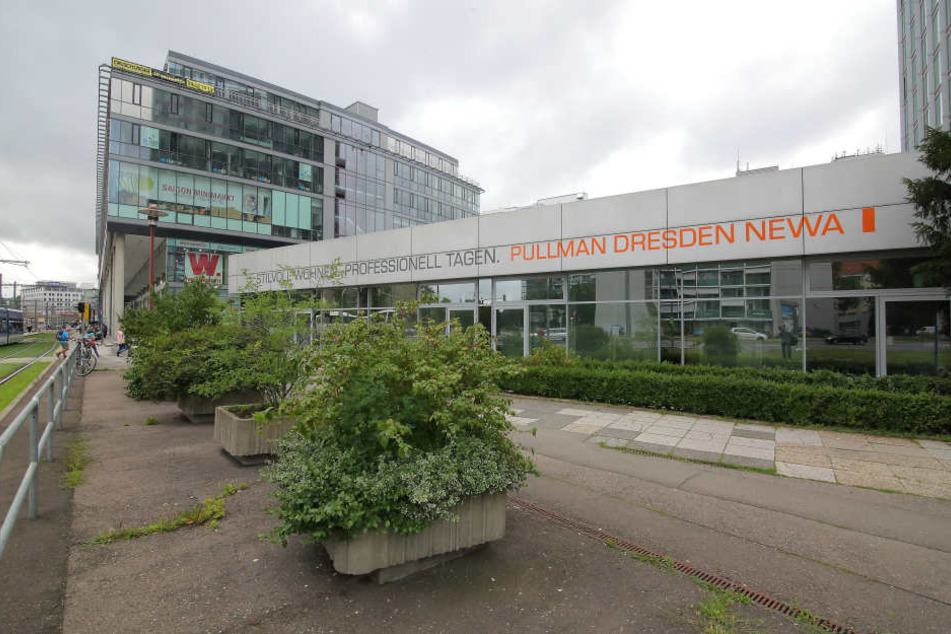 In diesen Blumenkübeln hinterm Hotel an der Prager Straße hatte der Dealer sein Drogendepot.