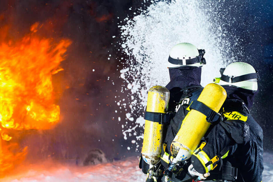 Drei Haustiere wurden zum Opfer des absichtlich gelegten Brandes. (Symbolbild)