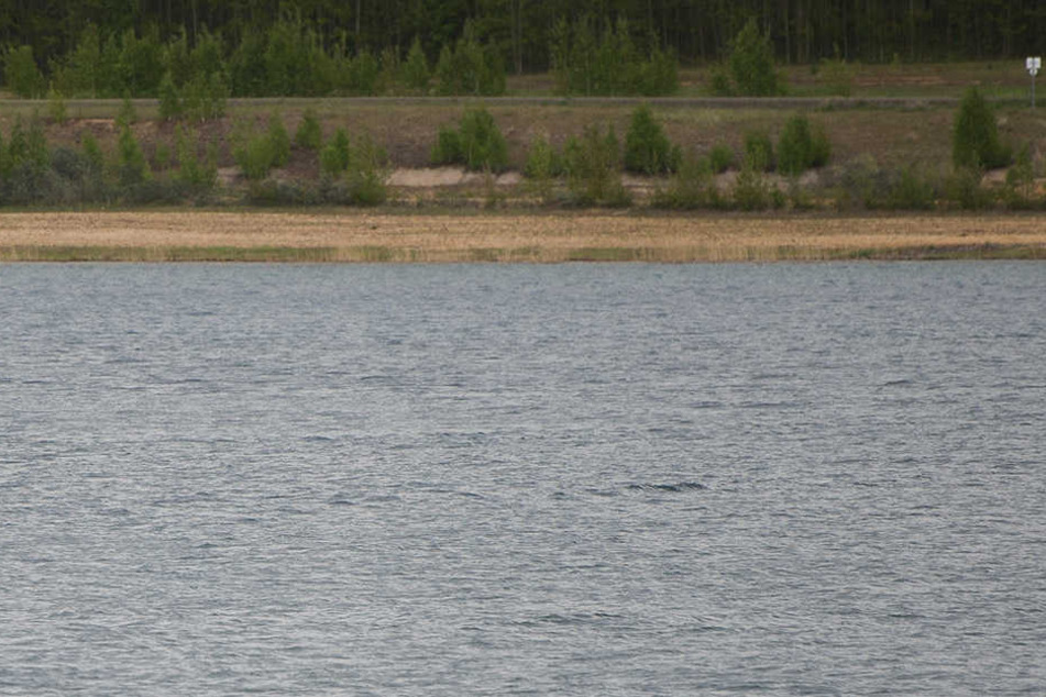 Eine Spaziergängerin fand den Leichnam der Frau am 23. September am Ufer des Zwenkauer Sees.