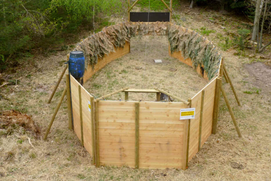 Zum Einfangen von Wildschweinen wurden auch sogenannte Saufänge erprobt.