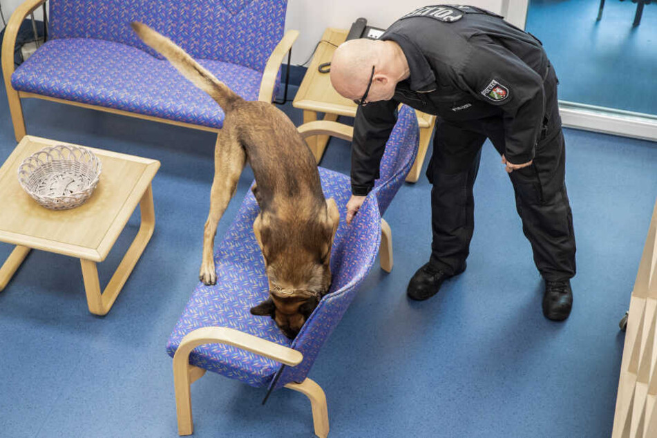 Datenspeicherhunde wurden in NRW bereits bei 34 Durchsuchungen eingesetzt (hier bei einer Übung).