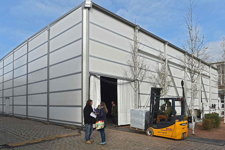 In dieser Spezialhalle auf dem Gelände der „Zeitenströmung“ (Königsbrücker Straße) werden die eisigen Kunstwerke ausgestellt.