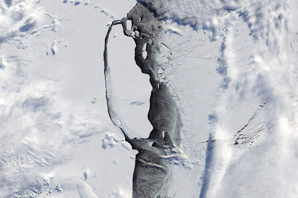Der massive Eisberg hat sich in der Antarktis vom Larsen-C-Schelfeis gelöst und treibt nun auf das Meer hinaus.