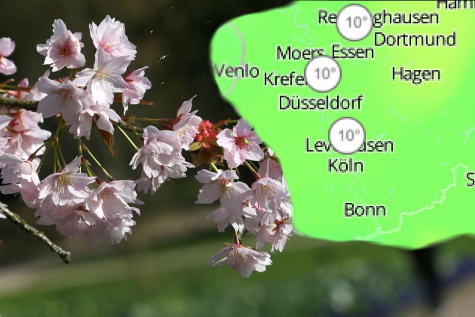 Das Rheinland taut zum Wochenende langsam auf.