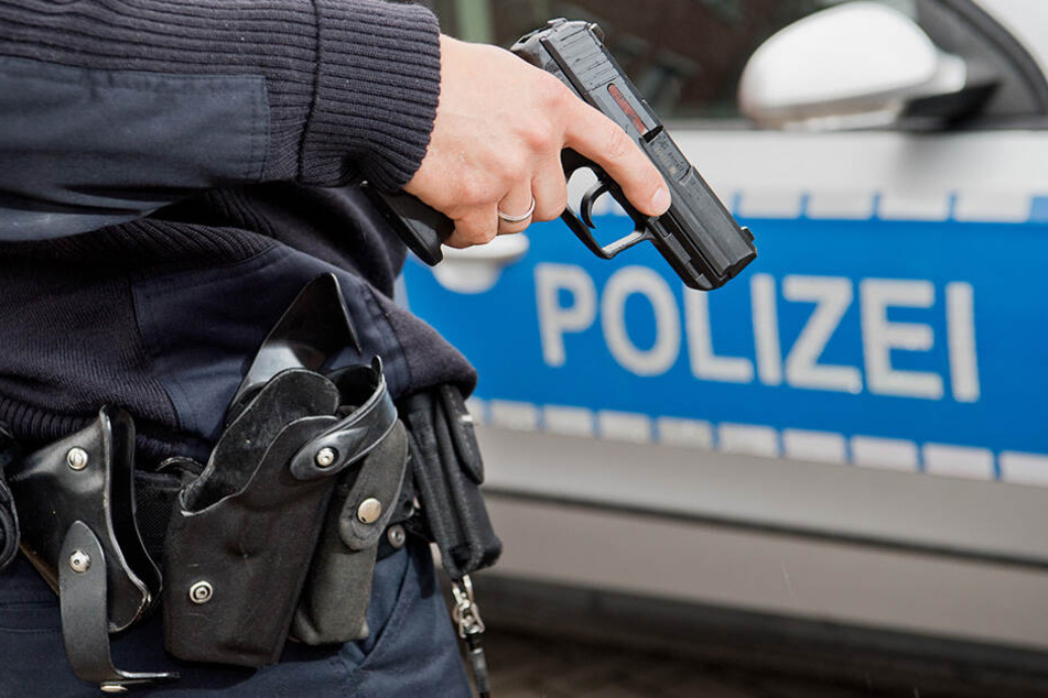 Die Polizeibeamten gaben zum eigenen Schutz Schüsse auf den Rentner ab.