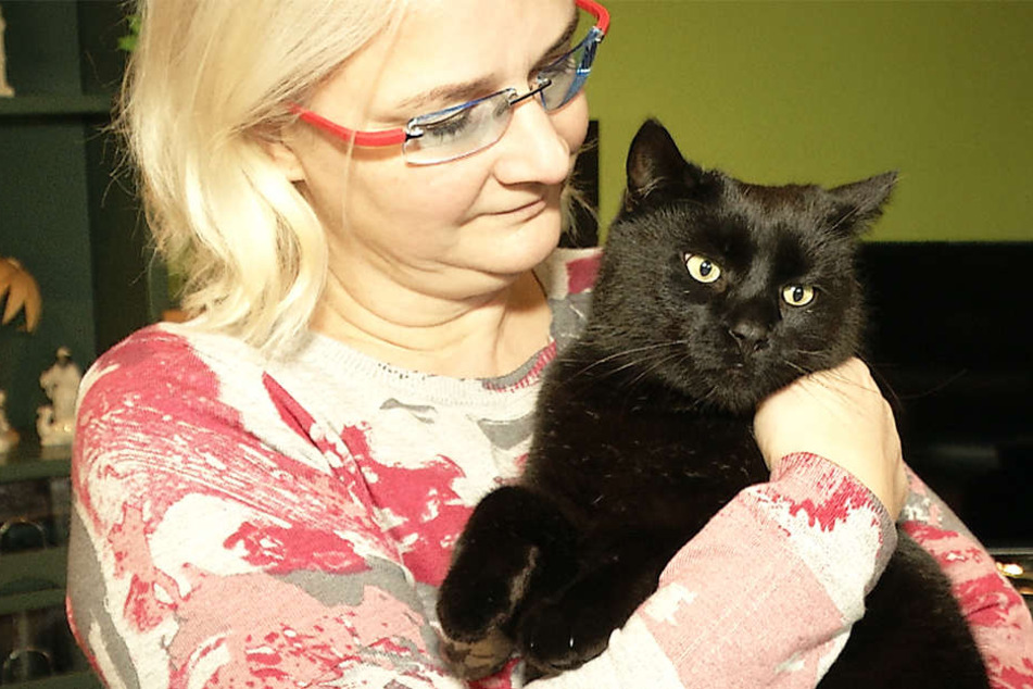 Am Dienstag sollte der Kater operiert werden.