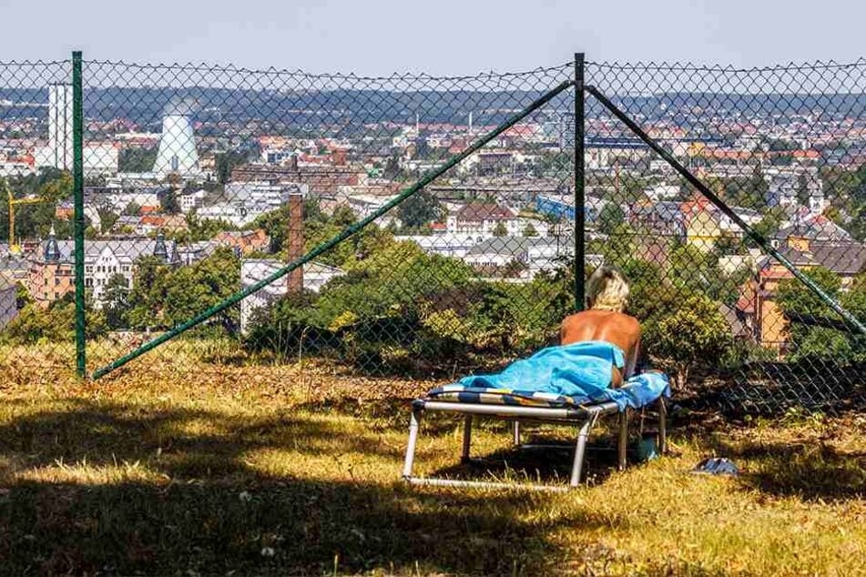 Vor allem Stammgäste zieht es auf die Liegewiese mit Weitblick über Dresden.