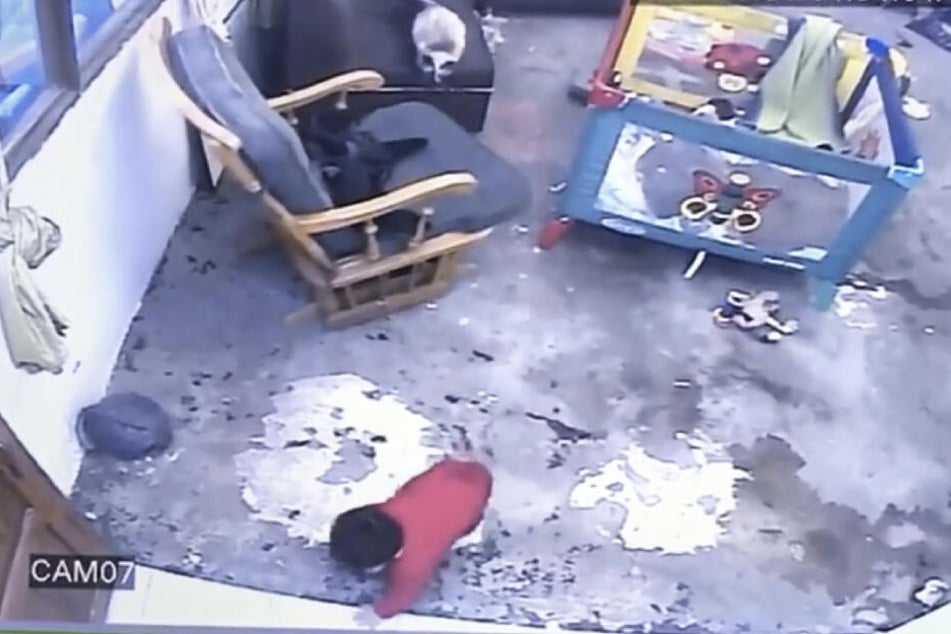 Das Kind geht immer weiter in Richtung Treppe. Die Katze macht sich bereit.