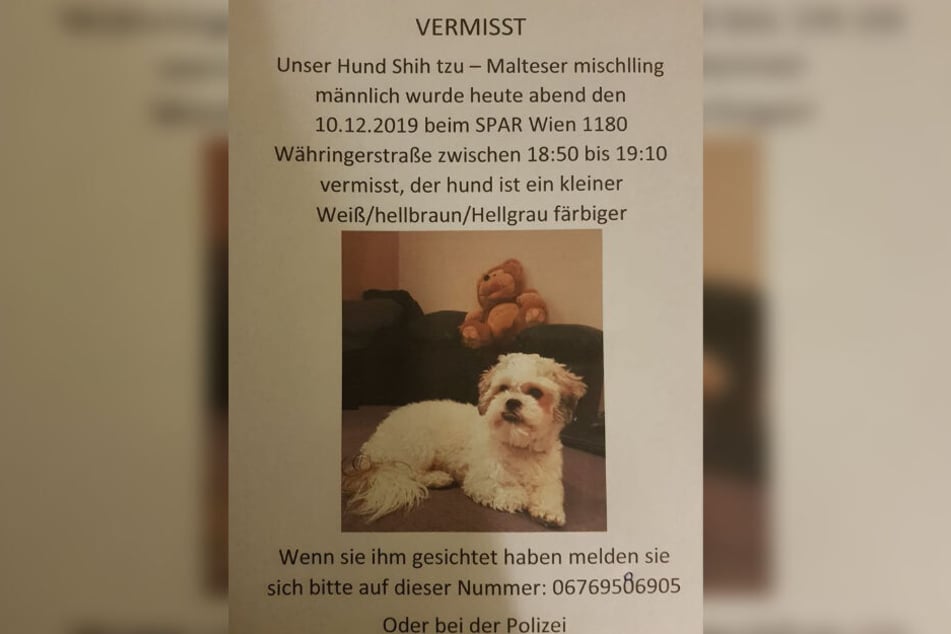 Auch per Flyer sucht Melita nach ihrem Liebling.
