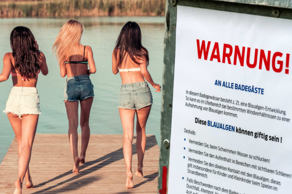 Blaualgen im Wasser eines Badesees können starken Durchfall auslösen (Symbolbild).