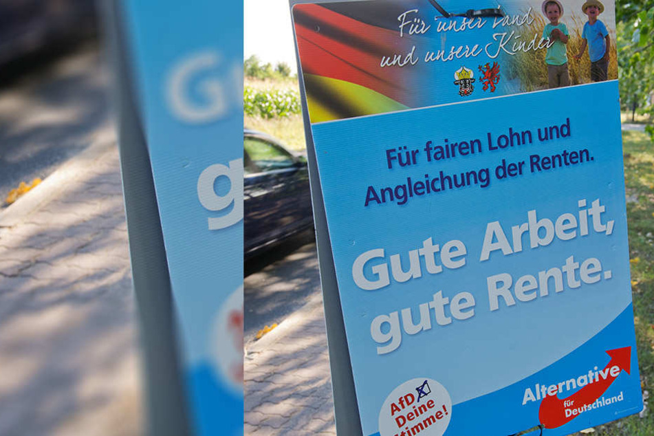 Nahe Köln ist ein Autofahrer in Wahlplakate der AfD-gerauscht.