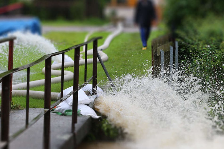 Das Wasser wurde mit allen Verunreinigungen in den Kanal gepumpt. Dies führt nun zu einem Massensterben der Fische. Anglerverbände sind besorgt. (Symbolbild)