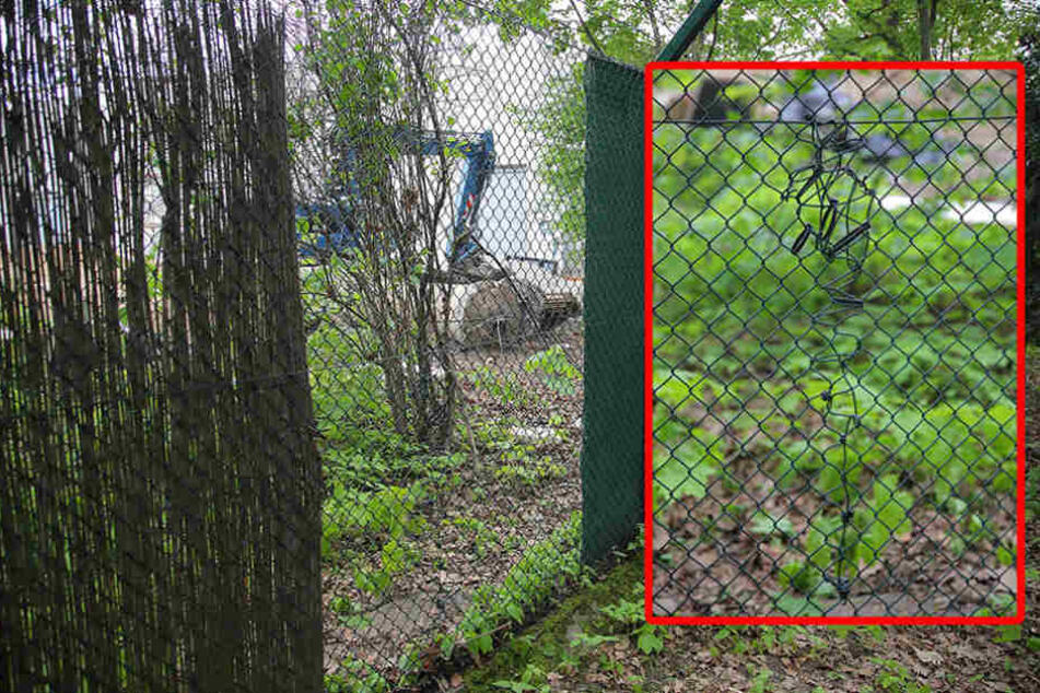 Zuerst zerschnitten die Ganoven den Zaun an der Tiergartenstraße...