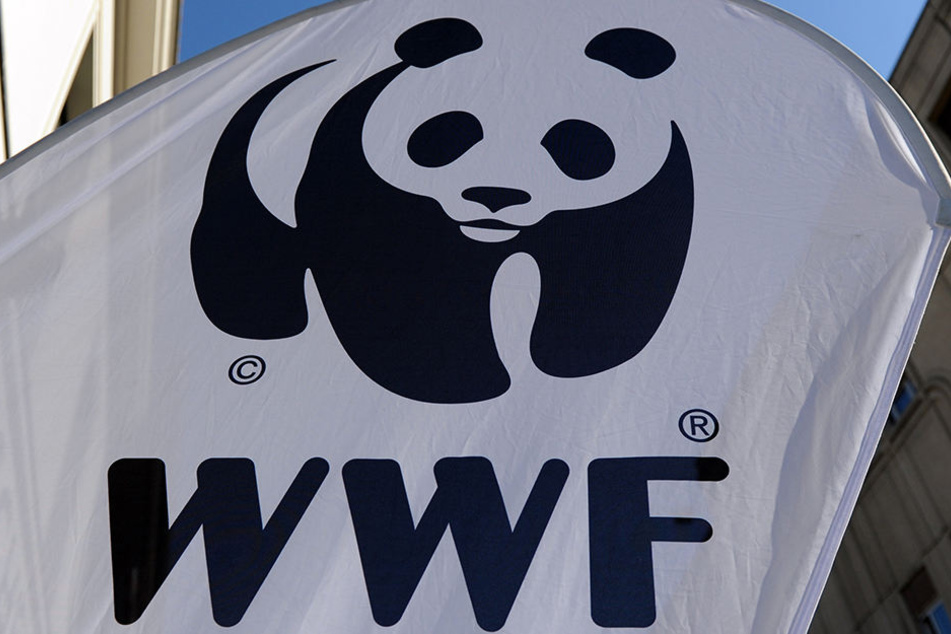 Der WWF lädt zur Earth Hour vor den Leipziger Zoo.