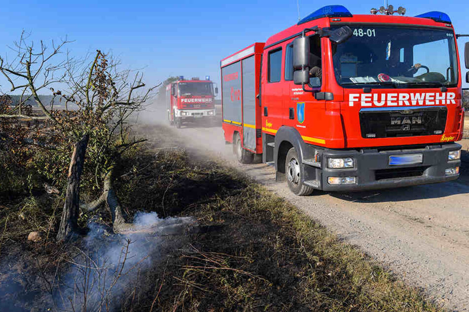 Etwa vier Hektar Feld und zahlreiche Strohballen gingen unweit der B173 in Flammen auf (Symbolbild).