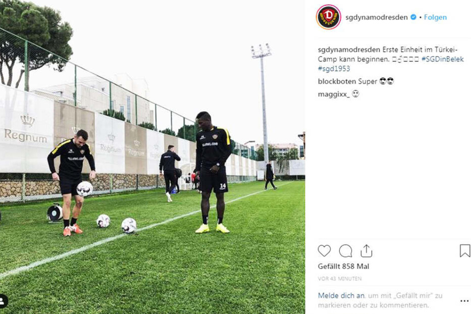 Am Nachmittag absolvierten die Dynamos ihre erste lockere Trainingseinheit.