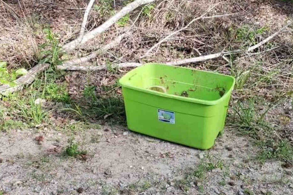 Passanten hatten diese Kiste am Wegesrand entdeckt.