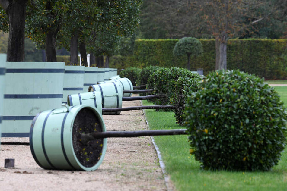 Im Schlosspark Sanssouci in Potsdam wurden durch den Sturm zahlreiche Kübelpflanzen umgestoßen.