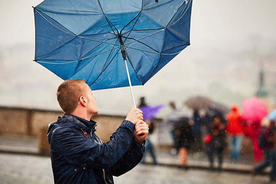 Bis Anfang nächster Woche müsst Ihr in ganz Deutschland mit ungemütlichem Wetter rechnen.