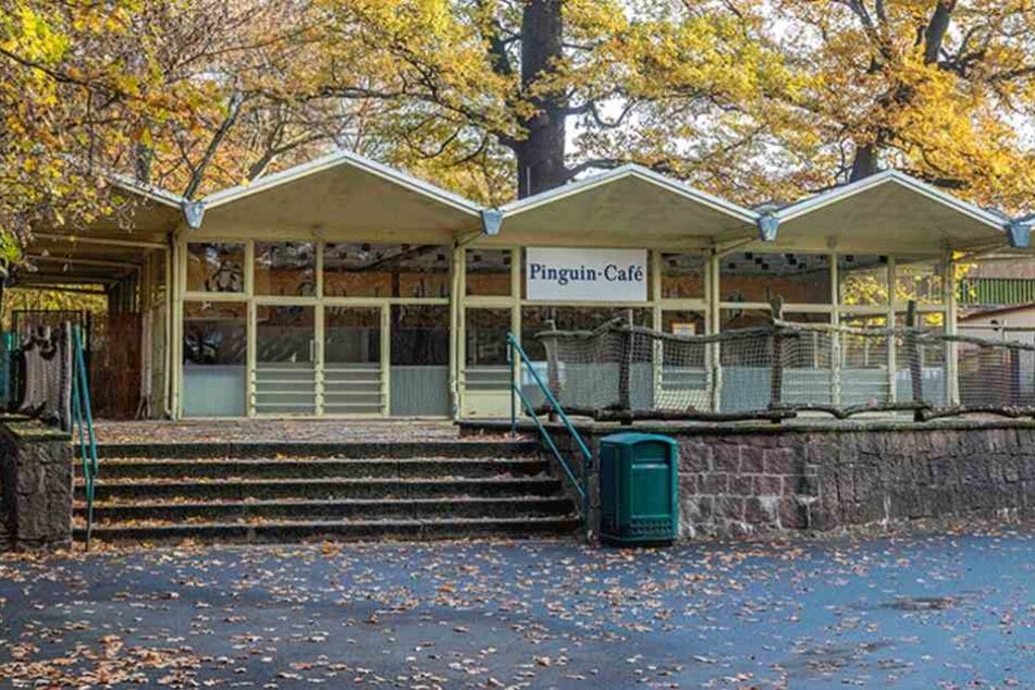 Der Stadtrat entscheidet über die Zukunft des Pinguin-Cafés im Zoo.