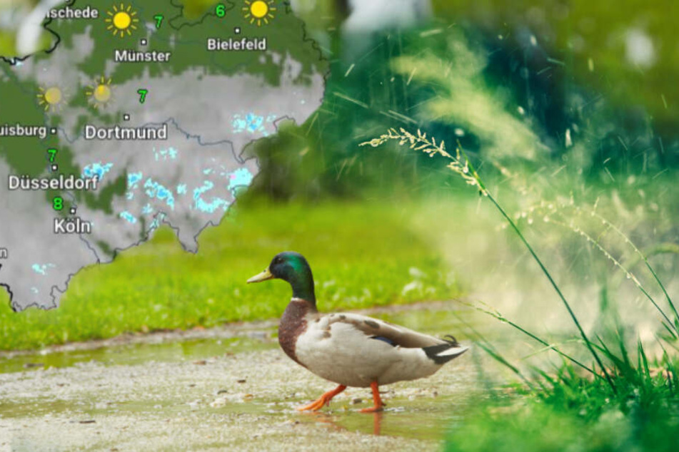 Das Wetter in NRW bleibt am Wochenende erstmal regnerisch.