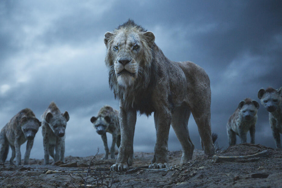 Scar (vorne) schmiedet gemeinsam mit den Tüpfelhyänen teuflische Pläne.