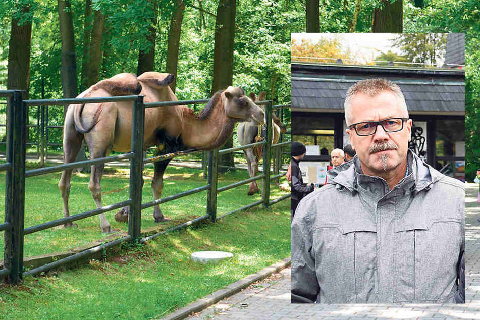 Das neue Gutachten soll erläutern,ob die Haltungsformen noch zeitgemäß sind. Ordnungsbürgermeister Miko Runkel (55, parteilos).