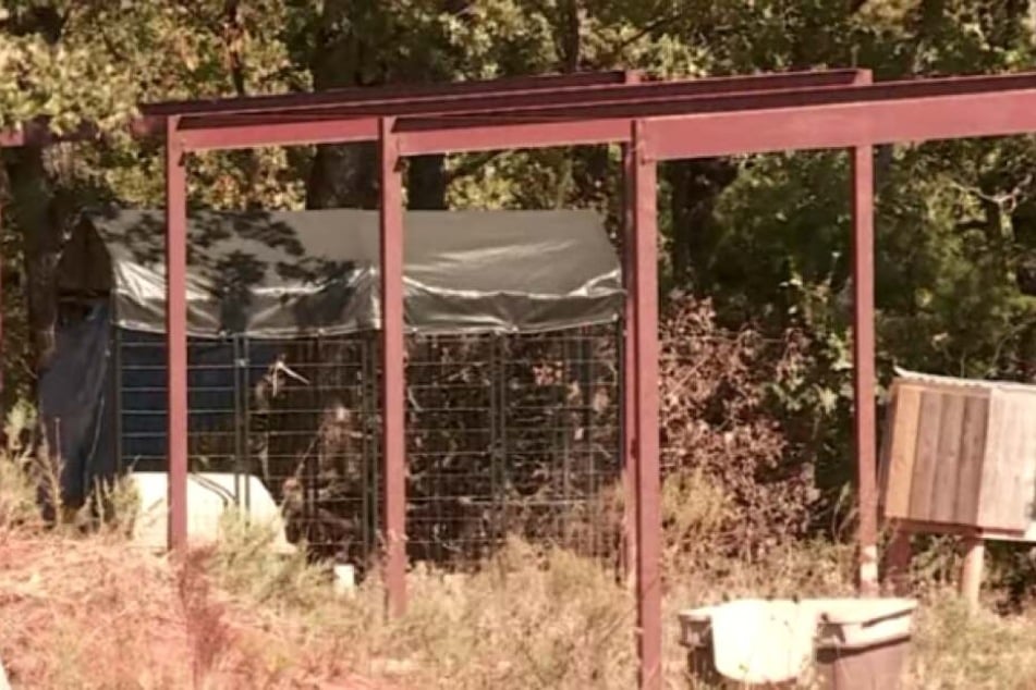 Aus diesem Käfig brachen die drei Hunde aus.