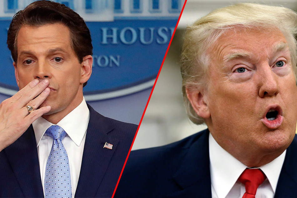 Anthony Scaramucci (53) war nur 10 Tage als Kommunikationschef von Donald Trump (71, rechts) im Amt.