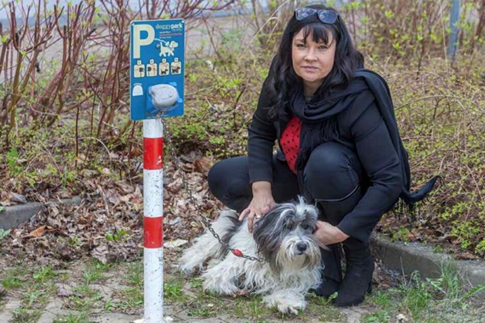 Was PaГџiert Wenn Man Keine Steuern Zahlt Was PaГџiert Wenn Man Keine Steuern Zahlt