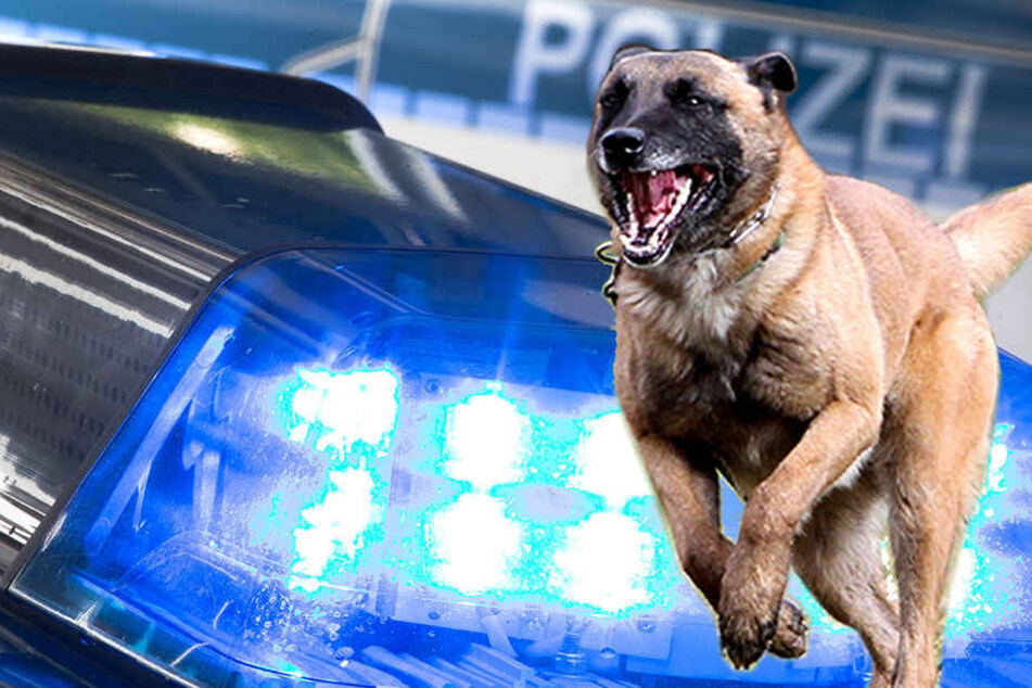 Der Wachhund wehrte weitere Angriffe der bewaffneten Männer ab.
