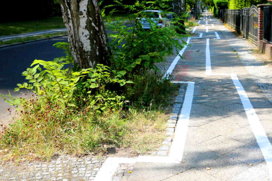 Irgendwie erinnert der Radweg neben der Leo-Baeck-Straße an das Videospiel Tetris.