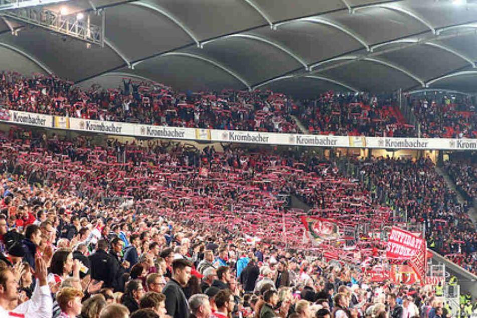 VfB Stuttgart gegen den 1. FC Köln.