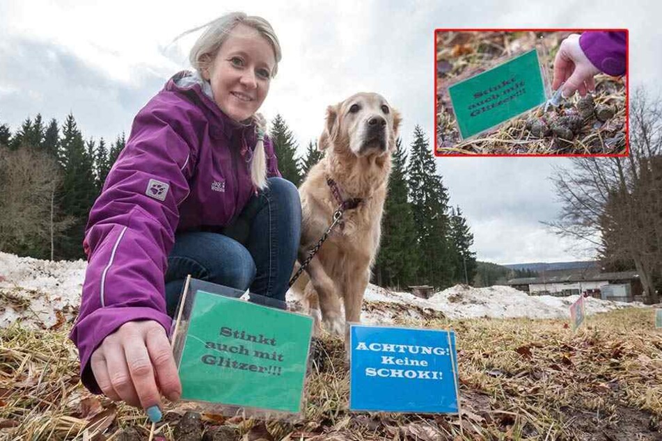 Mit Glitzer Und Sprüchen Geht Es Hundehaufen An Den Kragen