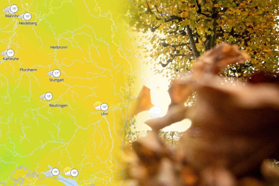 Spaziergang Im Park Oder Besser Tee Daheim So Wird Das Wochenend