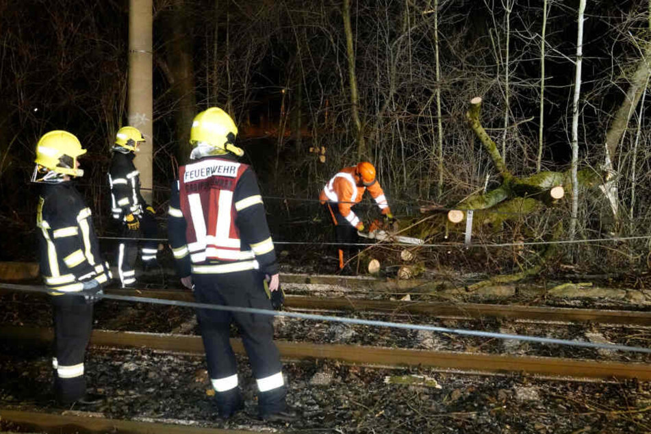 Die Feuerwehr beseitigte die Bäume und beräumte die Gleise.