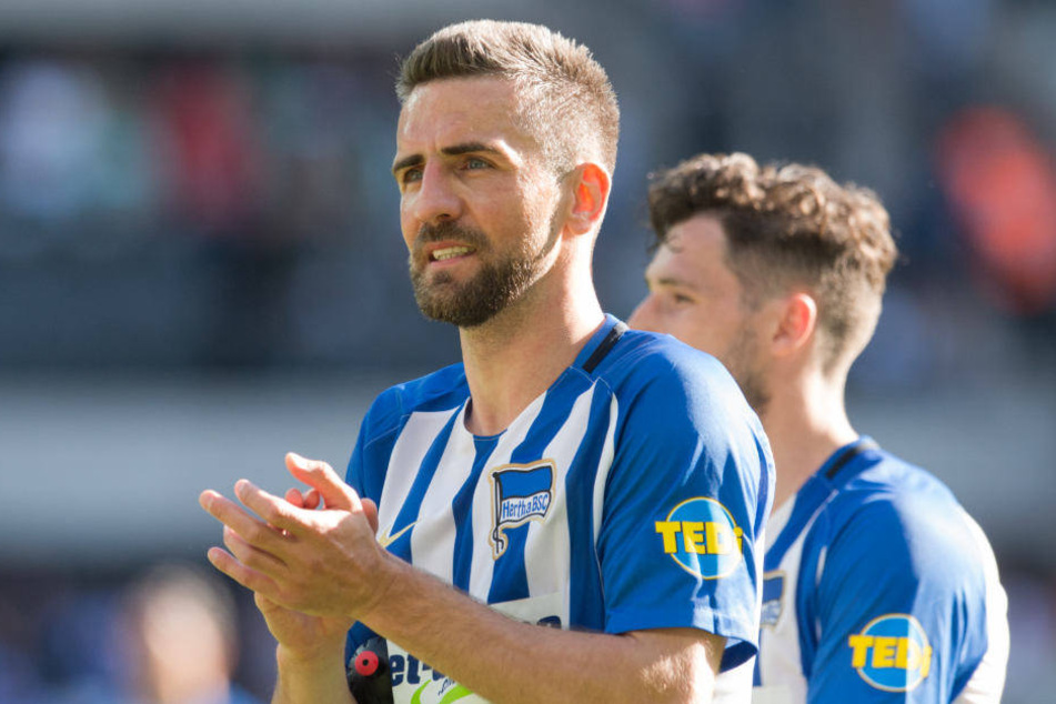 Vedad Ibisevic kann mit seiner Leistung zufrieden sein.
