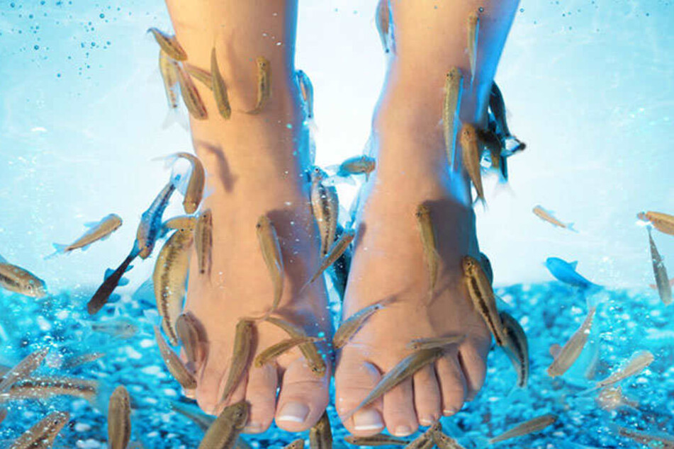 "Fish Spa" kann richtig gefährlich werden.
