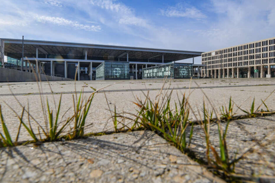 Es mutet an, wie eine Zombie-Apokalypse im Frühstadium, handelt sich allerdings um ein Foto des BER von Anfang März 2019.