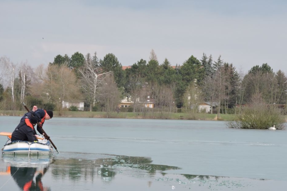 Mühsam kämpften sich die Retter über den zugefrorenen See zu dem Schwan (r.) heran.