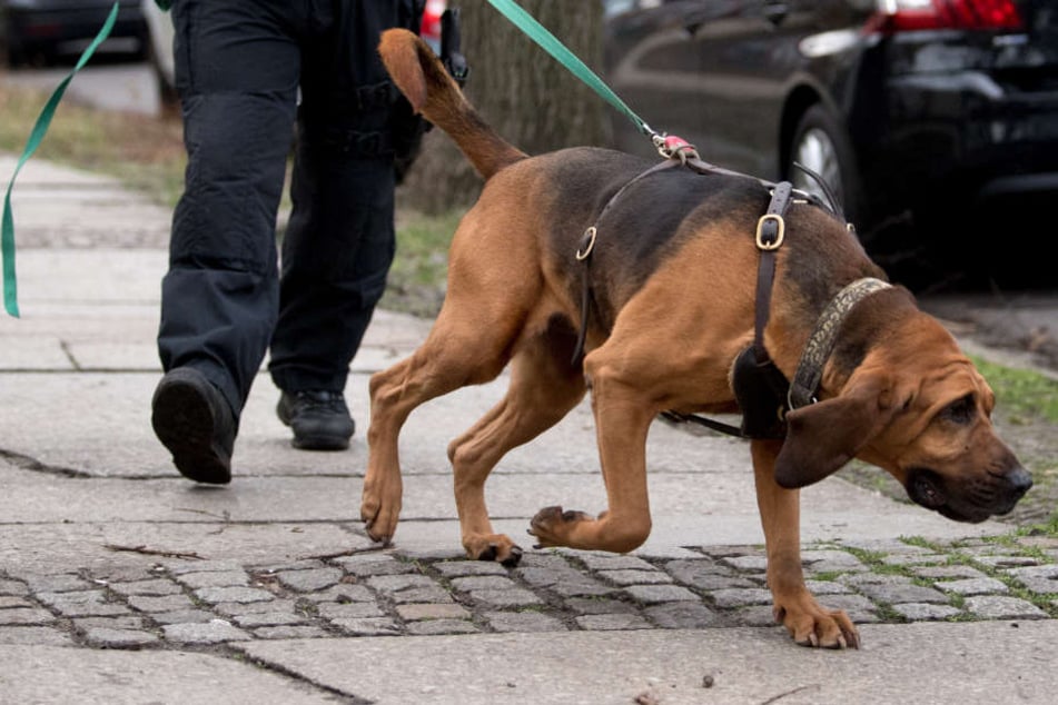 Mit Hunden suchte die Polizei nach dem Mann. (Symbolbild)