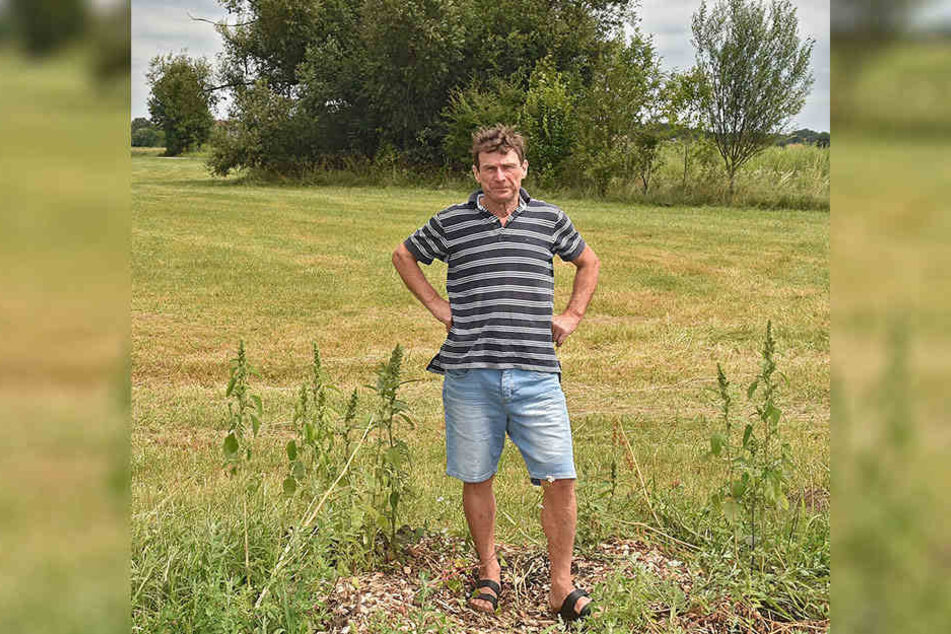 Bauunternehmer Gerald Förster (60) ärgert sich über den dreisten Baumklau.