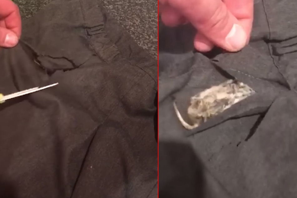In der Uniform war eine Maus eingenäht!