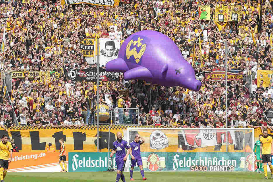 Beim Heimspiel gegen Aue am 30. April ließen die Fans das lila Schwein durch's Stadion schweben.