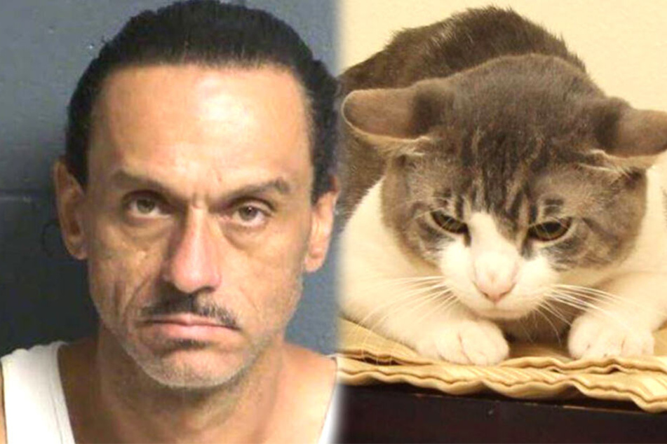 Aaron Spaulding (39), der seine Katze quälte, wurde ursprünglich nach gut 20 Tagen wieder freigelassen.