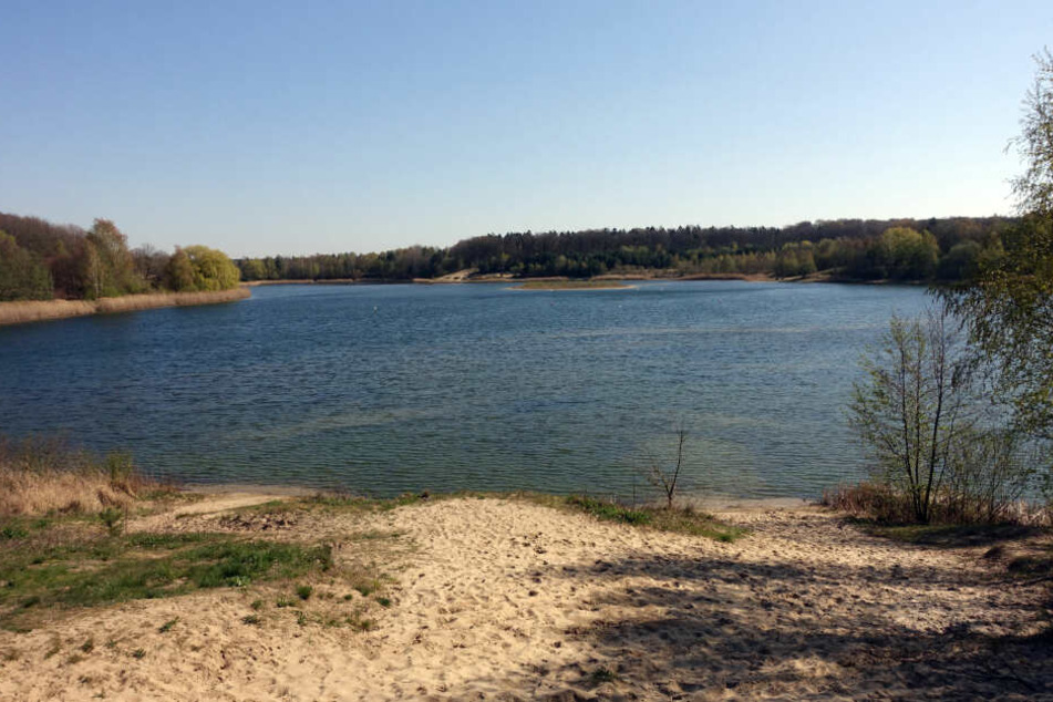 Im Süßen See in Sachsen-Anhalt sind E-Koli-Bakterien und Enterokokken gefunden worden. (Symbolbild)