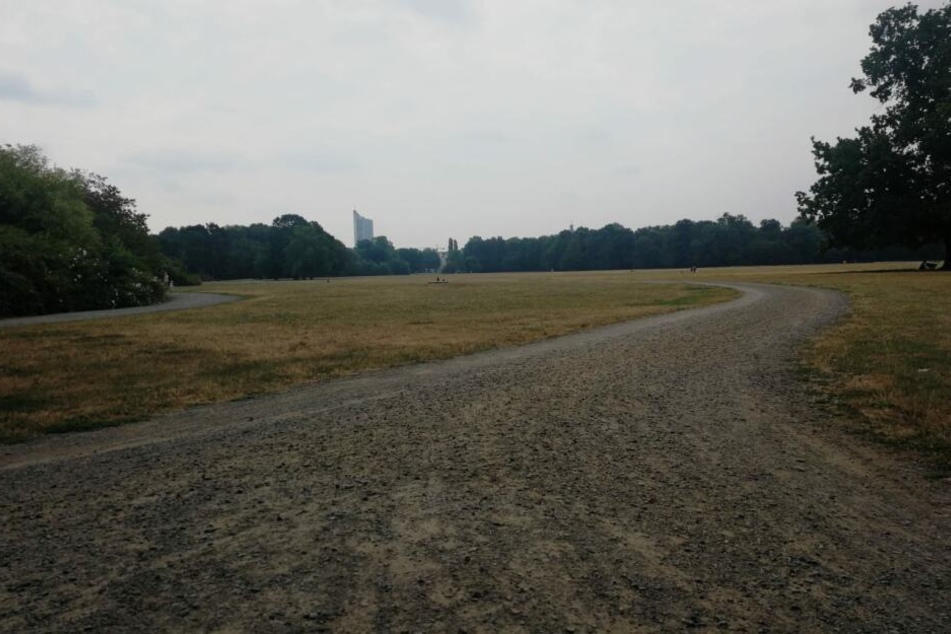 Das Leipziger Rosental ist eine Parkanlage mit angrenzendem Waldgebiet und besonders bei Joggern sehr beliebt.