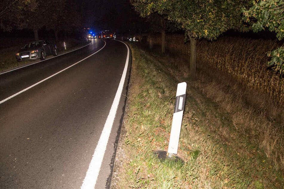 Aus dieser Linkskurve kam der Ford-Fahrer ab und knallte gegen einen Baum.
